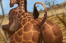 giraffe pussy butt anus xxx animal ass big female breasts nude respond edit rule