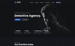 Website Detective Online