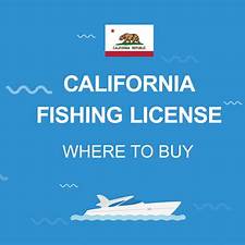 Sport Fishing License