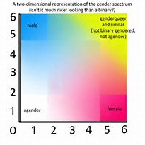 Image result for images sexual spectrum