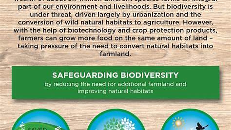 How to Protect Biodiversity