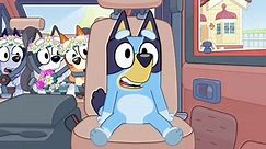 'Bluey' special episode 'The Sign' has viewers in tears