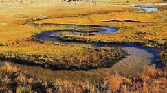 内蒙古耗来河：号称世界上最窄的河流，深度和宽度均才几十厘米