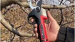 CORDLESS PRUNING SHEARS TAP THE LINK to purchase on Amazon: https://amzn.to/47oegrT Follow Meerkat Media for more ideas: https://www.instagram.com/meerkat.mediaa?igsh=MTNiYzNiMzkwZA== *As an Amazon Associate, I earn a commission when you shop Amazon through my link (at no extra cost to you) so thank you for your support. | The Gardenista