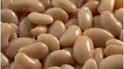 Canned white kidney beans rotating background macro side light....