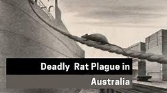 Deadly Rat Plague in Australia