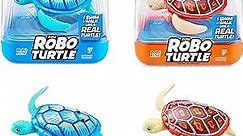 ROBO ALIVE Robo Turtle Robotic Swimming Turtle (Orange + Blue) by ZURU Water Activated, Comes with Batteries, Amazon Exclusive (2 Pack)