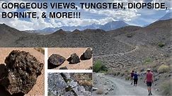 Rockhounding The Tungsten Hills- A TREASURE TROVE OF COOL MINERALS!!! Bishop, CA