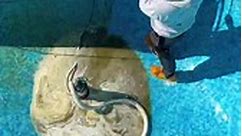 Swimming pool cleaning process - AlKarim Ceiling Pvt Ltd.