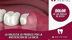 💢DOLOR DE LAS MUELAS DEL JUICIO💢 La... - Fenix Clínica Dental