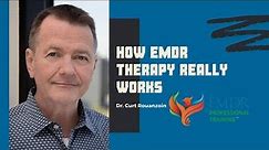 How EMDR therapy really works | Dr. Curt Rouanzoin | EMDR Professional Training