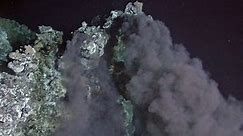 Hydrothermal vents: survival at the ocean's hot springs