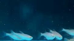 Albino Bunnies Tetra! 😍😍 অবিশ্বাস্য প্রাইসে!! 💥💥 available!! 💥💥 #AzadFisheries #reelsviral #reel #aquarium #aquariumsetup | Azad Fisheries