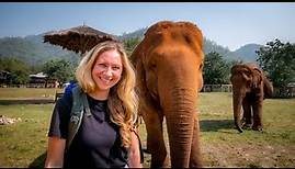Wir fahren zum BESTEN Elefantenpark in Thailand! | Vlog 07 | Elefant Nature Park Chiang Mai