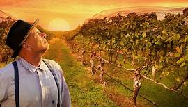 From The Vine (2019) | Official Trailer, Full Movie Stream Preview
