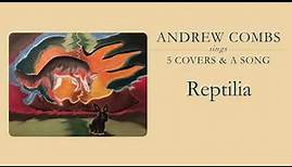 Andrew Combs - "Reptilia" [The Strokes Cover]