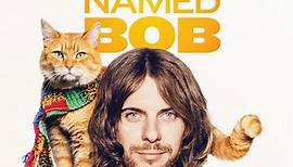 David Hirschfelder, Charlie Fink With Luke Treadaway - A Street Cat Named Bob (Original Motion Picture Soundtrack)