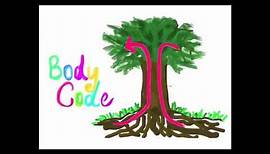 The Body Code - Dr Bradley Nelson