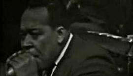 Muddy Waters & James Cotton- Got My Mojo Working 1966