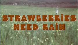 STRAWBERRIES NEED RAIN (Larry Buchanan, 1970)
