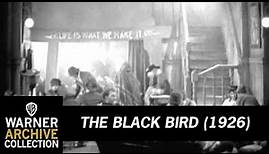 Preview Clip | The Black Bird | Warner Archive