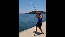 Kingfish Fishing at Sydney Harbour