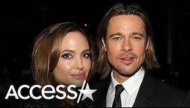 Brad Pitt & Angelina Jolie's Winery Battle Escalates