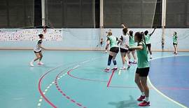Handballregeln: Einfach erklärt