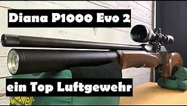 Luftgewehr Diana P1000 Evo2 - Full Review und Schusstest