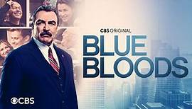 Heute neu: Staffel 12 von Blue Bloods bei kabel eins