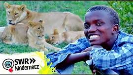 Samuel, der Löwenjunge | Schau in meine Welt | SWR Kindernetz