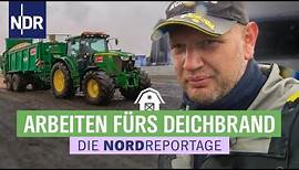 Deichbrand Festival: Bagger, Bässe, Bratwurstbude | Die Nordreportage | NDR