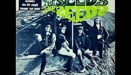 THE SEEDS -The Seeds (Full album) (Vinyl)