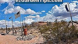 Landschaft Pflanzen von Nevada 🌱 Tipps Gärtner - De.ezGardenTips.com