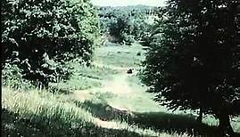 Das unsichtbare Visier Folge 2: Das Nest im Urwald (DFF, 1973)