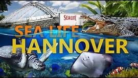 SEA LIFE Hannover - Von der Leine bis in den Ozean! | Zoo-Eindruck