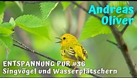 Vogelgezwitscher und plätscherndes Wasser - Singvögel und Wassergeräusche zur Entspannung / Erholung