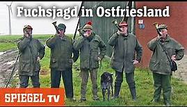 Dem roten Räuber auf der Spur: Fuchsjagd in Ostfriesland | SPIEGEL TV (2005)