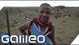 Massai-Krieger: Das ist ihr wichtigster Besitz | Galileo | ProSieben
