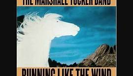 Last Of The Singing Cowboys by The Marshall Tucker Band (from Running Like The Wind)