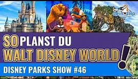 🏰 Walt Disney World Reiseplanung: so geht's ⭐️ Tipps & Tricks für Deinen WDW Urlaub | dein-dlrp