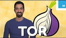 What is Tor and Should You Use It? | Mashable Explains