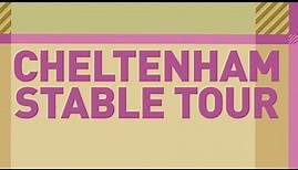 Cheltenham Stable Tour: Harry Whittington