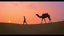 Camel with cameleer walking in desert on sunset