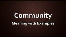 Community Meaning with Examples