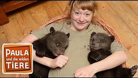 Paula und die wilden Bären | Film | Paula und die wilden Tiere