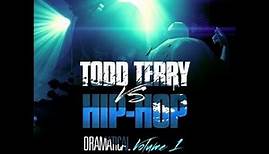 Todd Terry vs Hip Hop "Survivor"