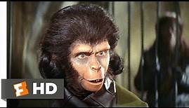 Planet of the Apes (2/5) Movie CLIP - Human See, Human Do (1968) HD