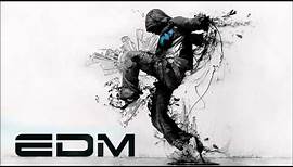 New Electro & House 2013 Best Of EDM Mix