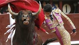 Live-Übertragung im spanischen TV: Torero durch 500-Kilo-Stier in der Arena getötet
